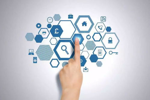 健康管理與咨詢 掌握科學方法，擁抱優質生活